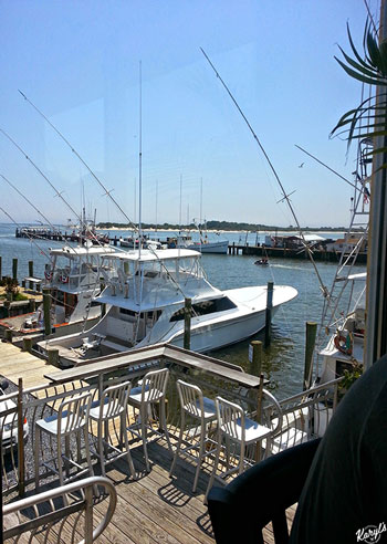 Shark on the Harbor, Ocean City MD - Karyl's Kulinary Krusade