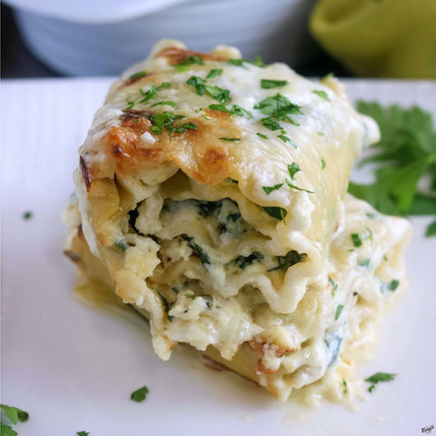 Spinach Alfredo Lasagna Roll Ups