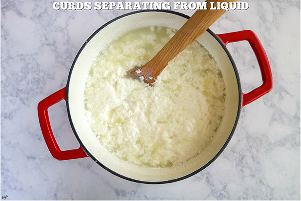 overhead process shot, curds separating from liquid