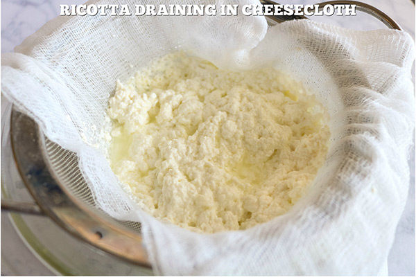 process shot of ricotta draining in cheesecloth